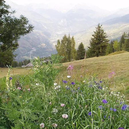 Les Gentianes * La Plagne