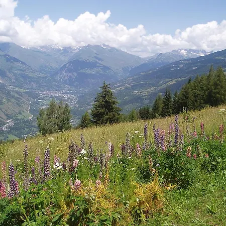 Alpehytte Les Gentianes