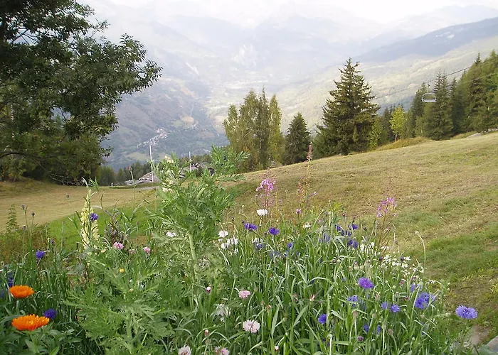 Les Gentianes * La Plagne