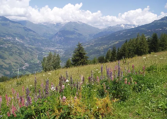 Alpstuga Les Gentianes